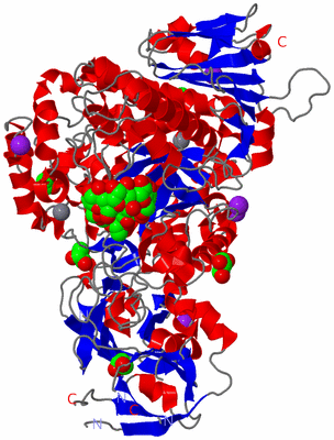 Image Asym./Biol. Unit