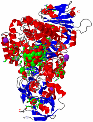 Image Asym./Biol. Unit - sites