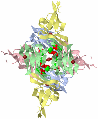 Image Biological Unit 1