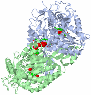 Image Asym./Biol. Unit - sites