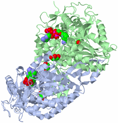 Image Asym./Biol. Unit