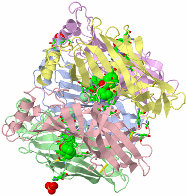 Image Asym./Biol. Unit - sites