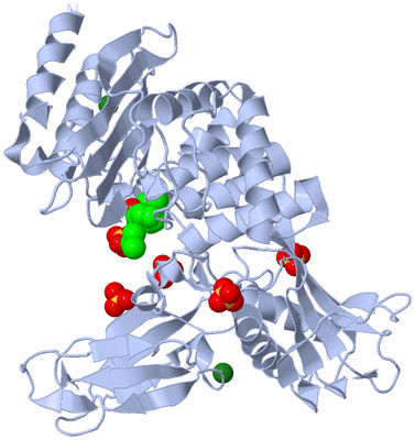 Image Biological Unit 1