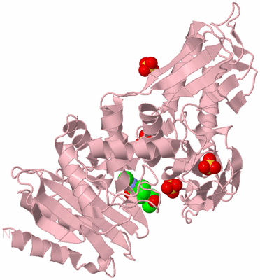 Image Biological Unit 3