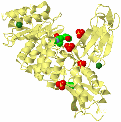 Image Biological Unit 4