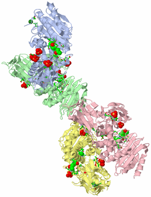 Image Asym. Unit - sites