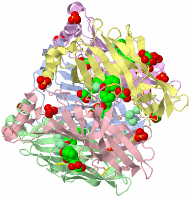 Image Asym./Biol. Unit