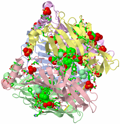 Image Asym./Biol. Unit - sites