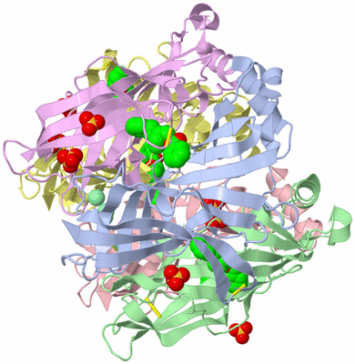 Image Asym./Biol. Unit