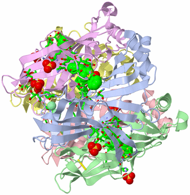 Image Asym./Biol. Unit - sites