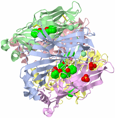 Image Asym./Biol. Unit