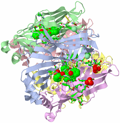 Image Asym./Biol. Unit - sites