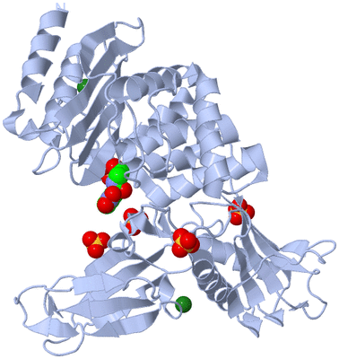 Image Biological Unit 1