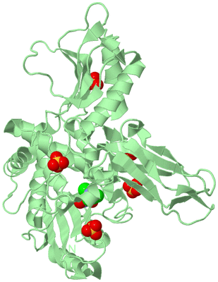 Image Biological Unit 2