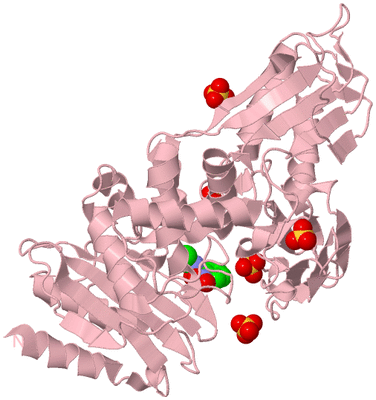 Image Biological Unit 3