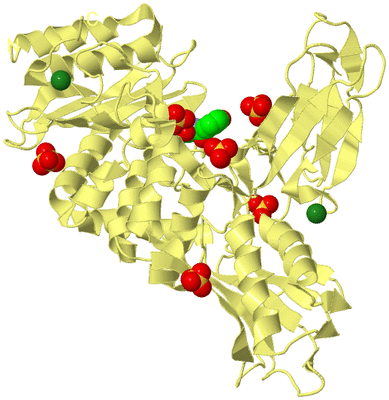 Image Biological Unit 4