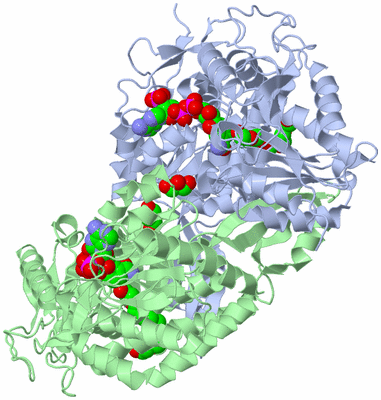 Image Asym./Biol. Unit