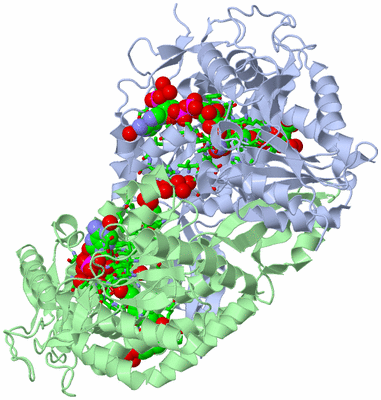 Image Asym./Biol. Unit - sites