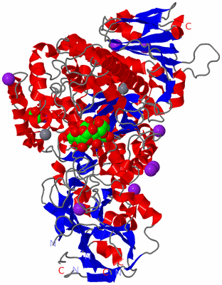 Image Asym./Biol. Unit