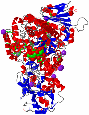 Image Asym./Biol. Unit - sites