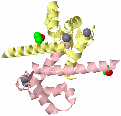 Image Biological Unit 2