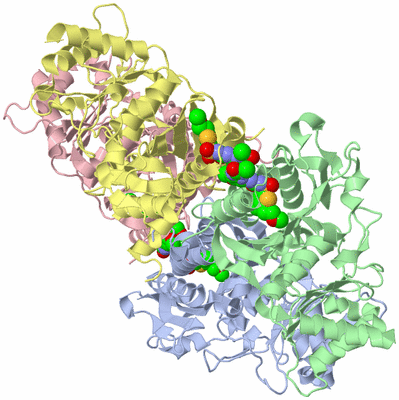 Image Asym./Biol. Unit