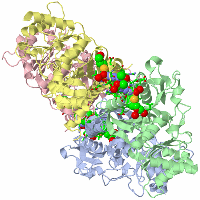 Image Asym./Biol. Unit - sites