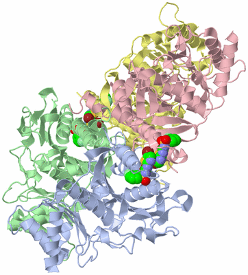 Image Biological Unit 1