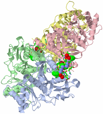 Image Biol. Unit 1 - sites