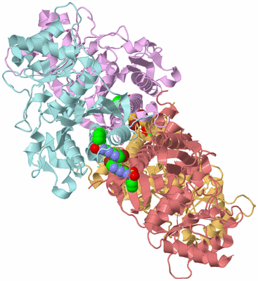 Image Biological Unit 2