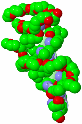 Image Biological Unit 1