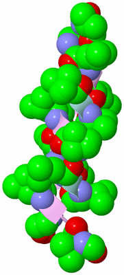 Image Biological Unit 3