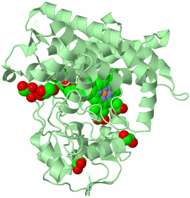 Image Biological Unit 2