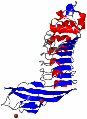 Image Asymmetric Unit