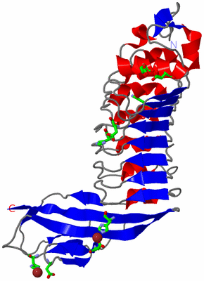 Image Asym. Unit - sites