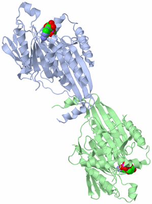 Image Asym./Biol. Unit