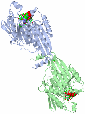 Image Asym./Biol. Unit - sites