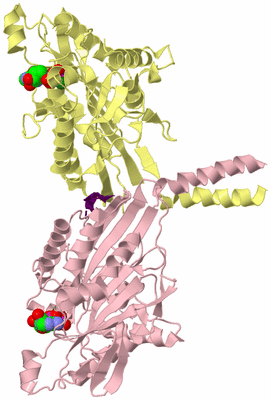 Image Biological Unit 3