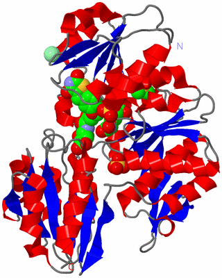 Image Asym./Biol. Unit