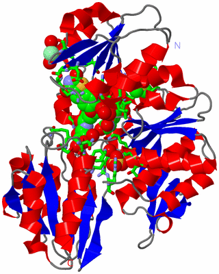 Image Asym./Biol. Unit - sites