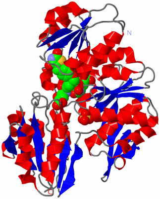 Image Asym./Biol. Unit