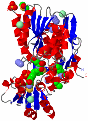 Image Asym./Biol. Unit