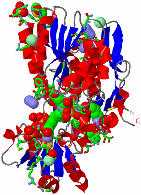 Image Asym./Biol. Unit - sites