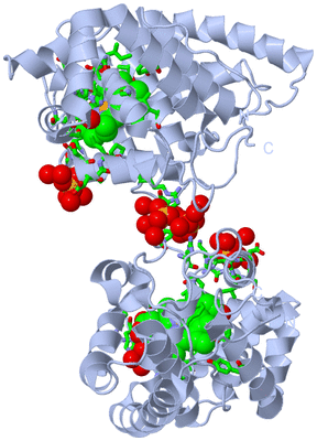 Image Biol. Unit 1 - sites