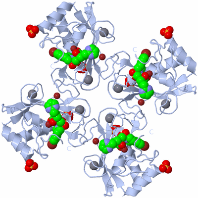 Image Biological Unit 1