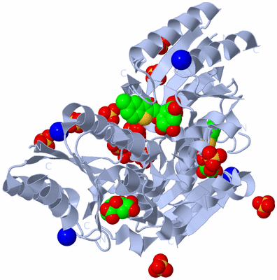 Image Biological Unit 1