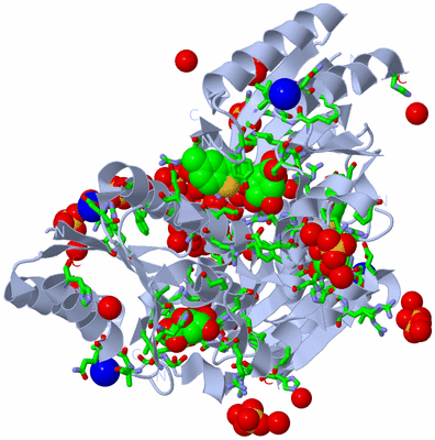 Image Biol. Unit 1 - sites