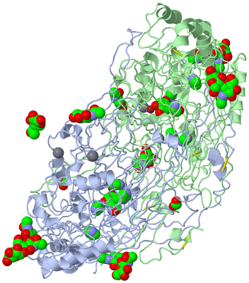 Image Asym./Biol. Unit