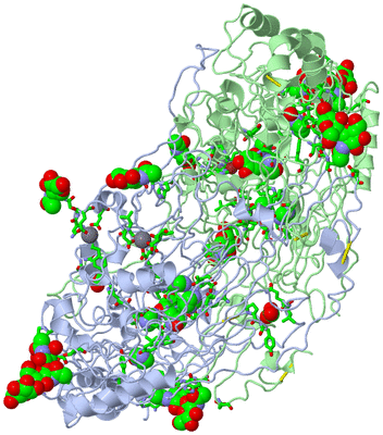 Image Asym./Biol. Unit - sites