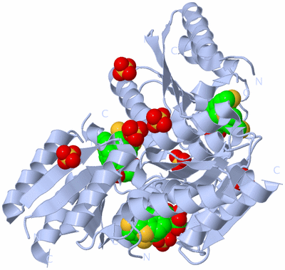 Image Biological Unit 1